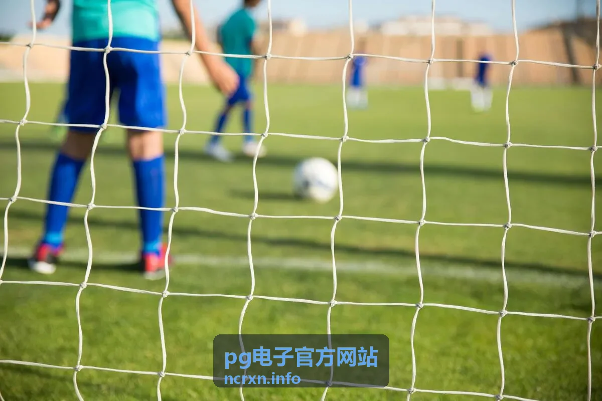 pg电子平台指南封面